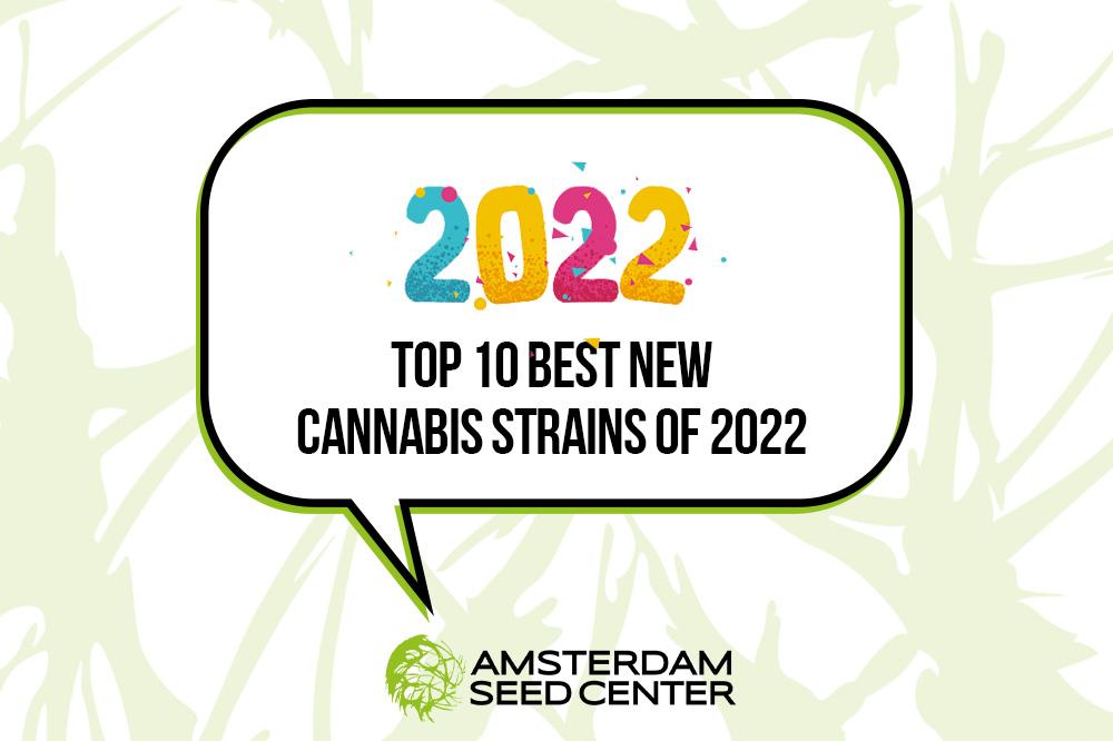 10 Popular New Cannabis Strains of 2022