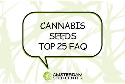 25 Frequently Asked Questions + Answer about Cannabis Seeds
