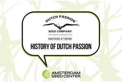 History of Dutch Passion + Top 3 strains