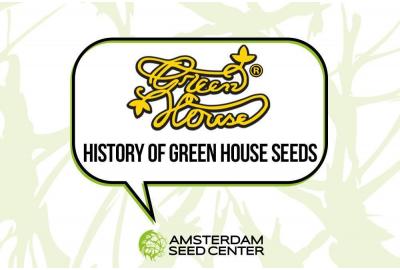 Geschichte von Green House Seeds Co und Top 3 Sorten