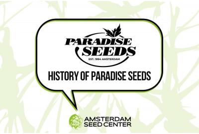Histoire de Paradise Seeds + Top 3 des variétés