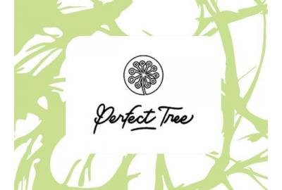 Perfect Tree Genetics now at Amsterdam Seed Center
