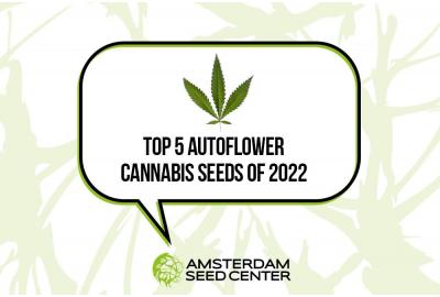 Top Five Best Selling Autoflowering Cannabis Seeds 2022
