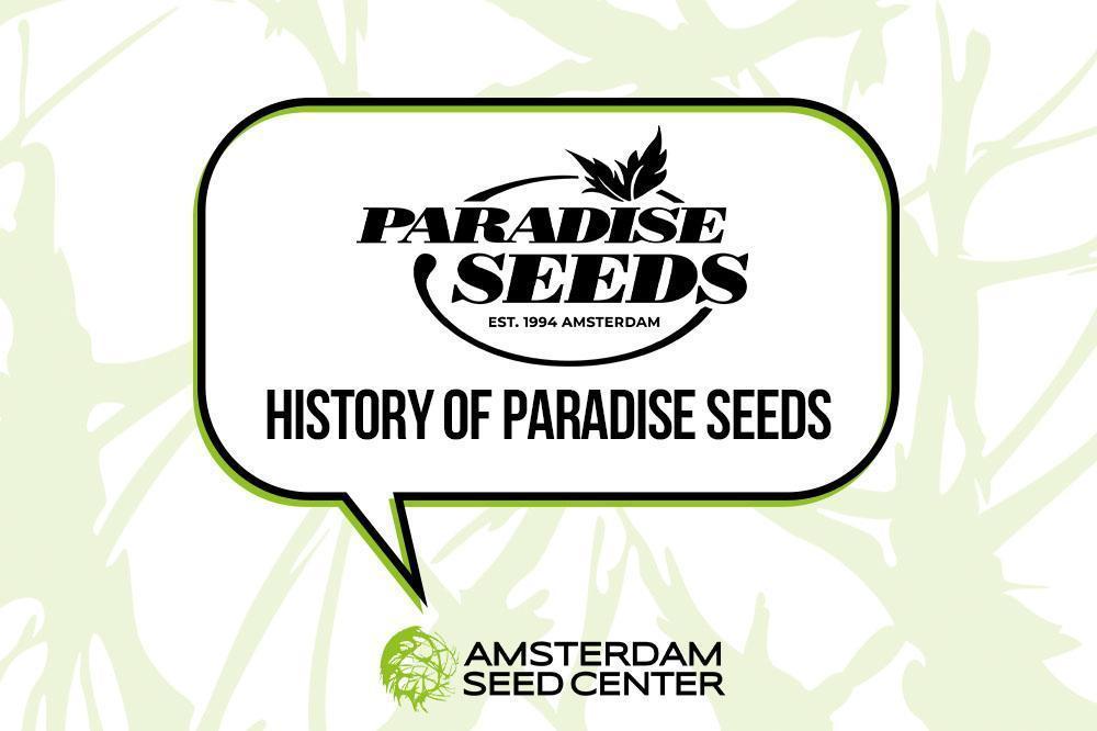 Geschichte von Paradise Seeds + Top 3 Sorten