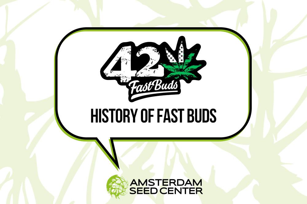 History of Fast Buds + Top 3 Strains