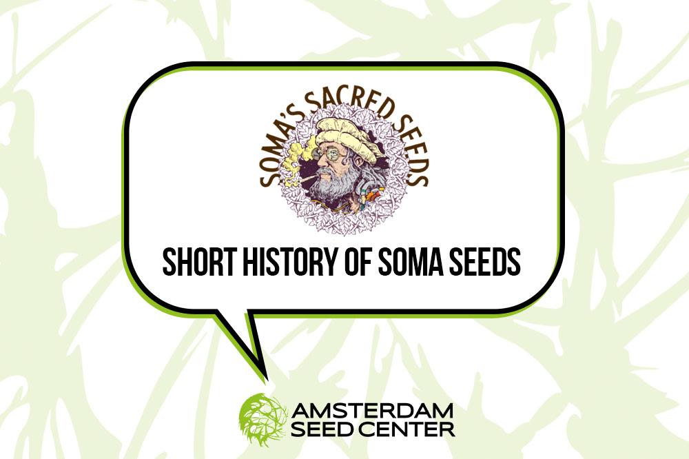 Short History of Soma Seeds