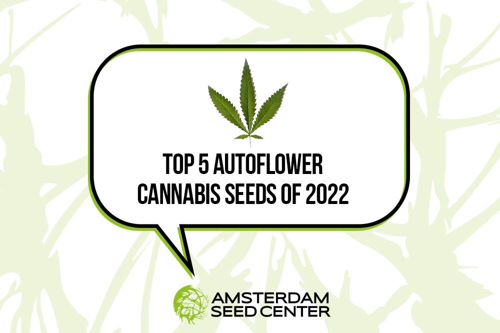 Top Five Best Selling Autoflowering Cannabis Seeds 2022
