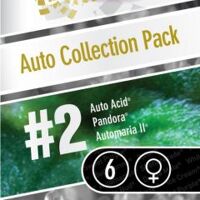 Auto Collection pack #2