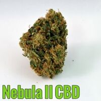 Nebula II CBD