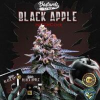 Black Apple Hitchcock - 5PACK