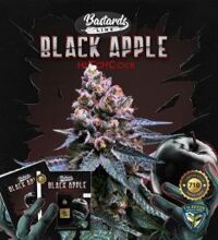black-apple-hitchcock-10pack-regular-th-seeds